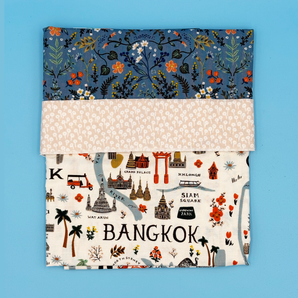 Bon Voyage Pillowcase Kit