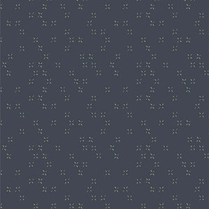 Lilliput - Twinkle Twinkle Galaxy