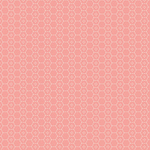 Picturesque - Bound Treasures Blush