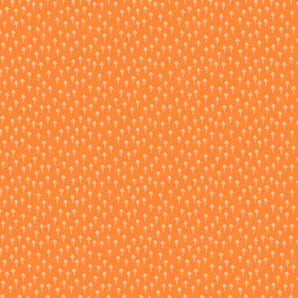 Squeeze - Ice Cream Cones Orange