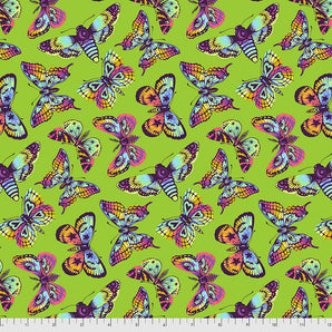 Daydreamer - Butterfly Kisses - Avocado - Quilting Fabric