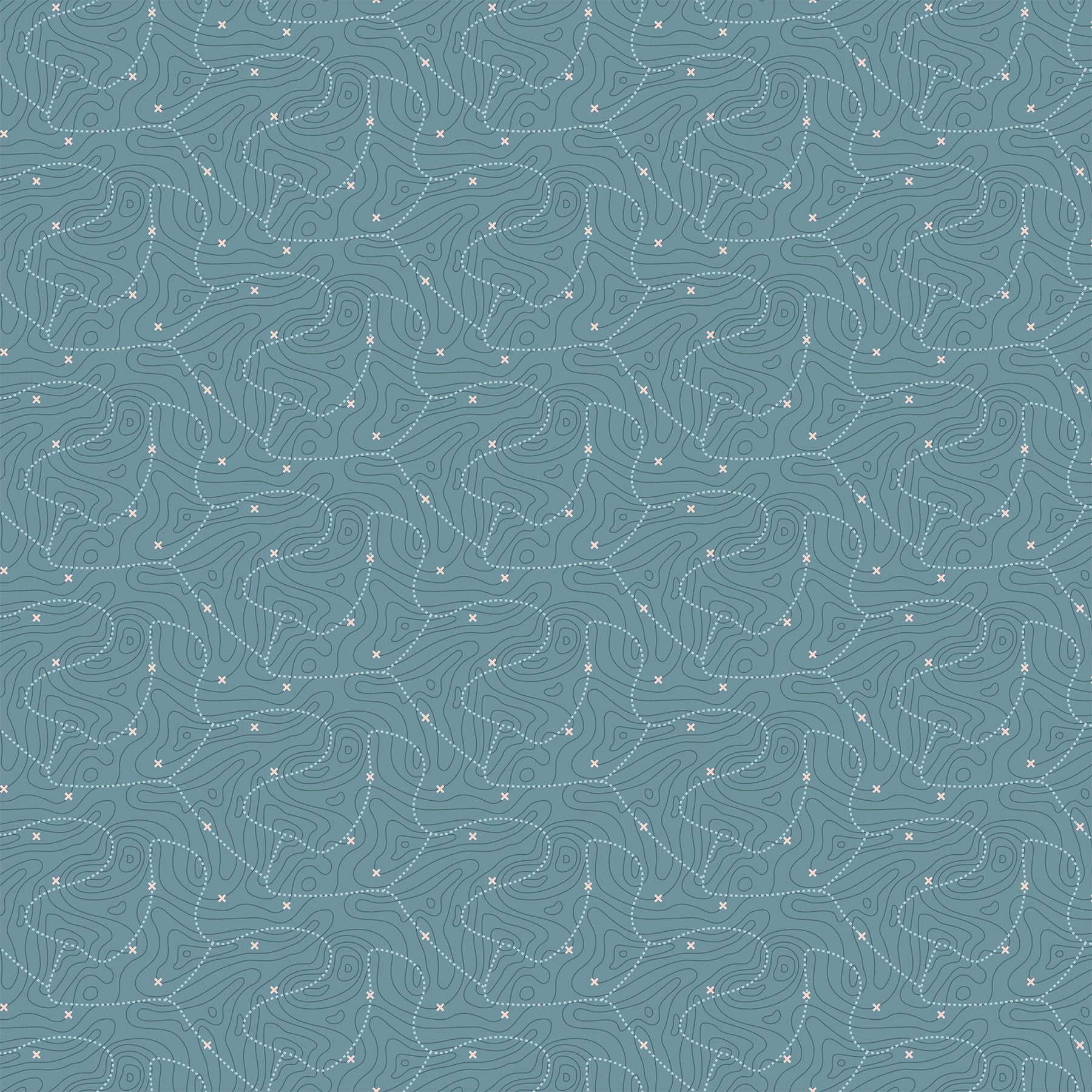 Around the Campfire - Topography Teal Fabric