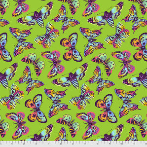 Daydreamer - Butterfly Kisses - Avocado Fabric
