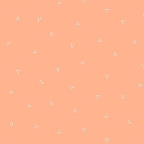 Lucky Charms - Wishbone Peach Fabric